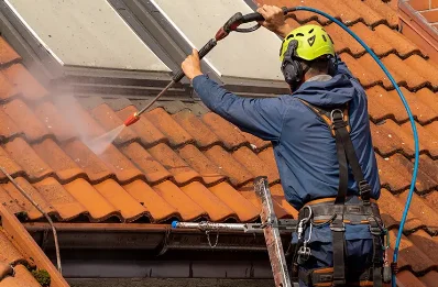 Démoussage et hydrofuge de toiture à Soual